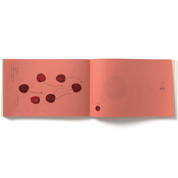 100 writing & crafting papers of fruit- sample pages with cherries