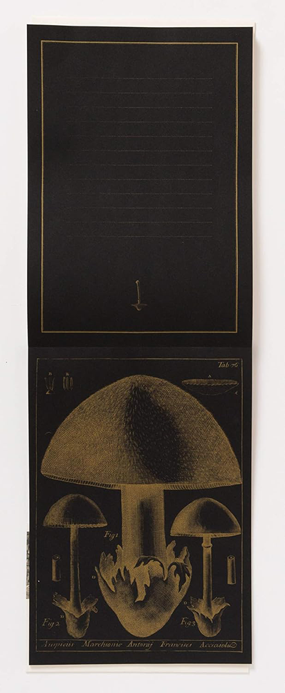 Mushroom illustration on a black background with gold accents