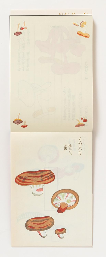 Double page spread of Illustration of various mushrooms on a beige background
