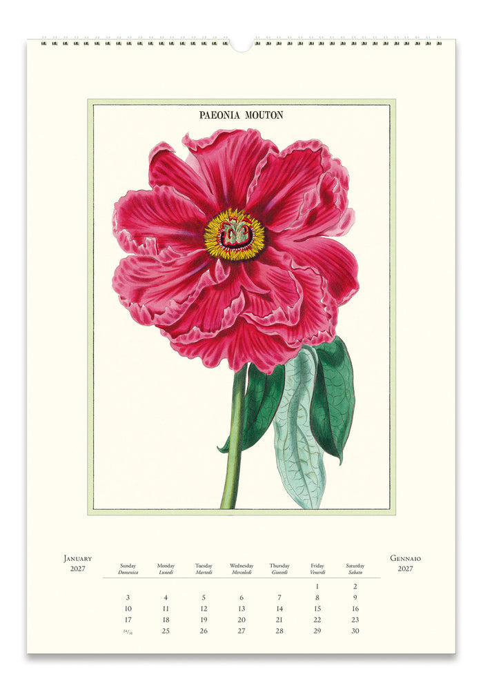 Example calendar page featuring a large botanical illustration of a pink peony flower with green leaves on an off-white background. The page includes a date grid for January through October 2027 and the title 'PARNERIA MOUTON' at the top of the flower illustration.