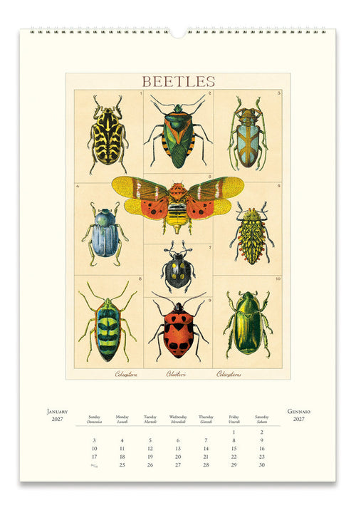 A vintage-style wall calendar page featuring a large central illustration of various beetles and a butterfly, with monthly calendar grids along the bottom. The page has a cream background and the insects are rendered in many natural colors including green, yellow, red, blue, and black.