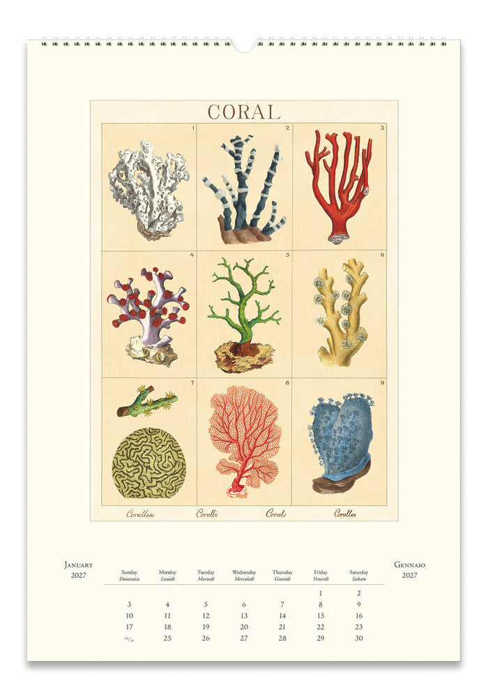 A vintage-style coral calendar page featuring a grid of illustrated corals under the title 'CORAL' on a cream background, with a small calendar grid at the bottom.