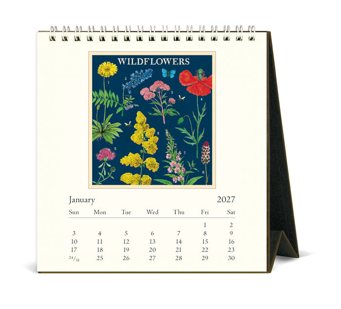 2027 Cavallini & Co. Wildflowers Desk Calendar