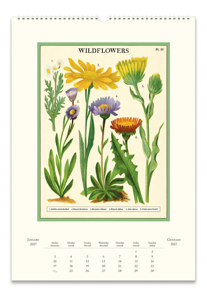 Example wall calendar page titled 'WILDFLOWERS' showing botanical illustrations of yellow, purple, and orange wildflowers with a green border on an off-white background.