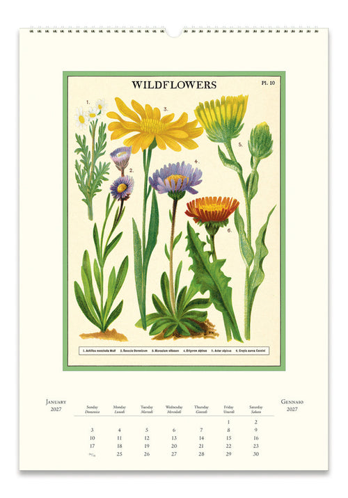 Example wall calendar page titled 'WILDFLOWERS' showing botanical illustrations of yellow, purple, and orange wildflowers with a green border on an off-white background.