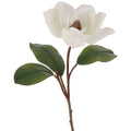 32" White Magnolia Stem