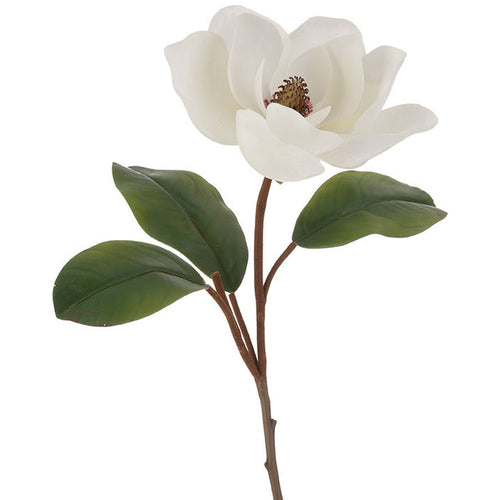 32" White Magnolia Stem