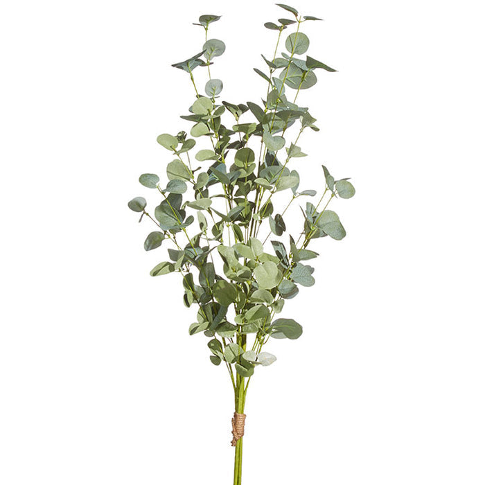 35" Eucalyptus Bundle