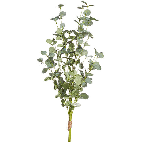 35" Eucalyptus Bundle