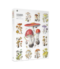 Alexander Viazmensky 1000-Piece Jigsaw Puzzle