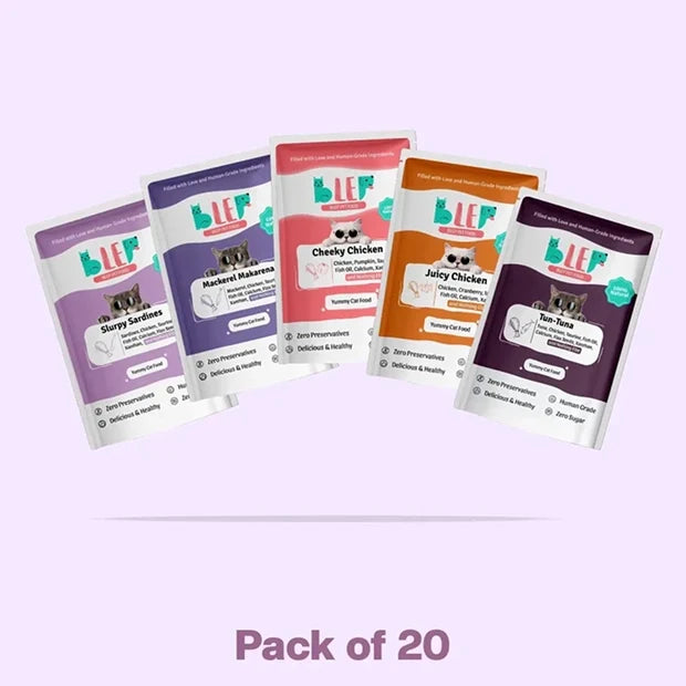 All Recipes Fresh Cat Food Monthly Pack - 100% Natural & Zero Preservatives - Blep