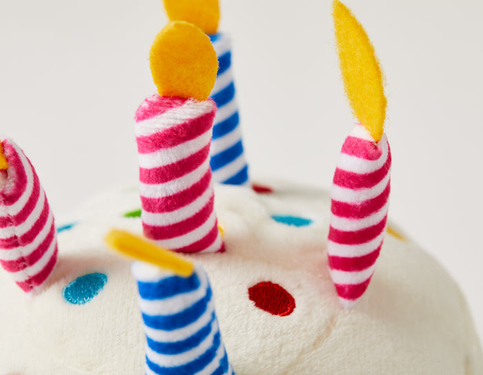 Birthday Cake 6" Plush Dog Toy