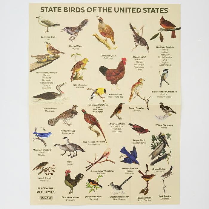 A vintage-style educational poster titled 'STATE BIRDS OF THE UNITED STATES' featuring numerous illustrated birds with their names printed below, on a beige background with 'BLACKWING VOLUMES VOL 458' at the bottom left.