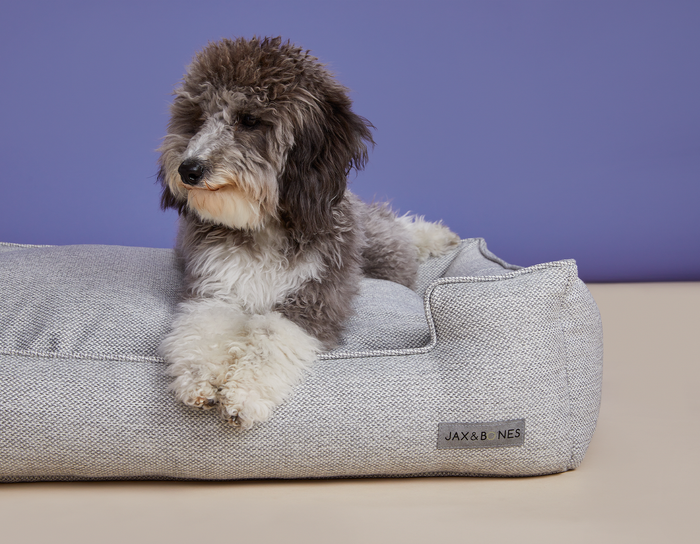 Bolstered Pet Lounge Bed – Royce Dove