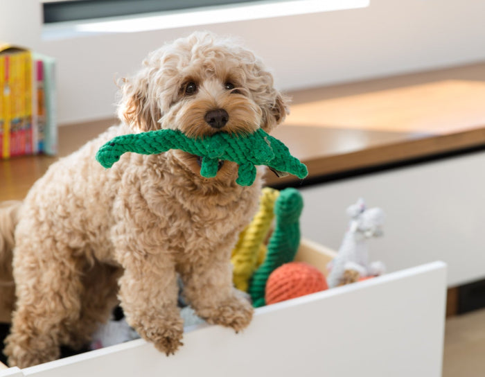 Brent the Brontosaurus Rope Dog Toy