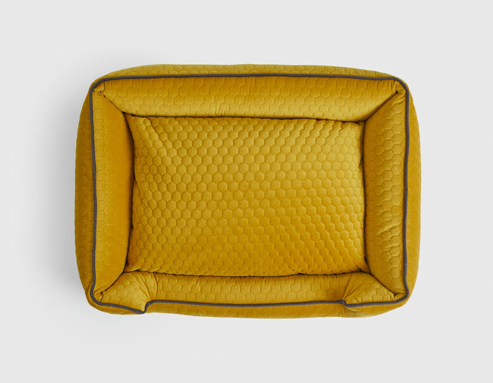 Bumble Chartreuse Lounge Bed