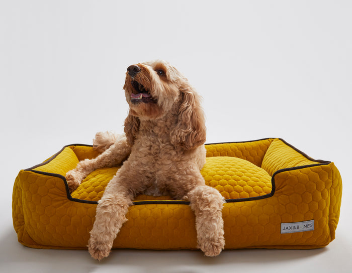 Bumble Chartreuse Lounge Bed