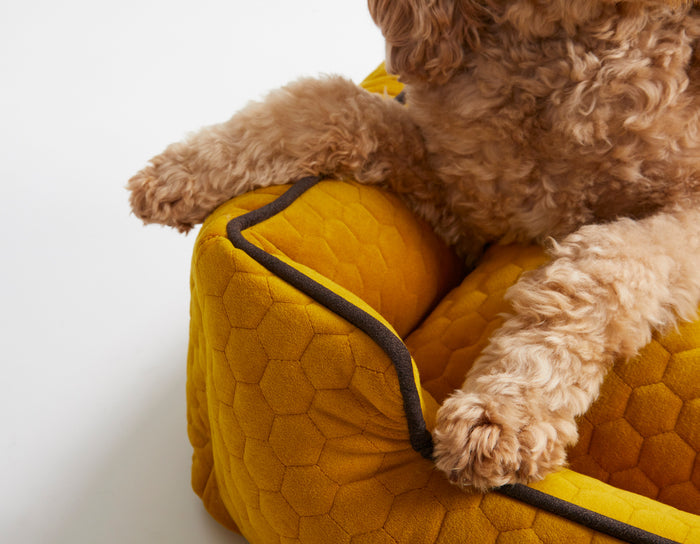 Bumble Chartreuse Lounge Bed