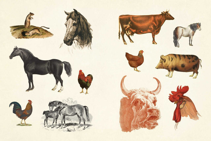 Illustrations of various animals including horses, cows, chickens, and pigs on a beige background.