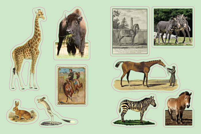 Sample page- a collection of vintage-style animal illustrations on a light green background