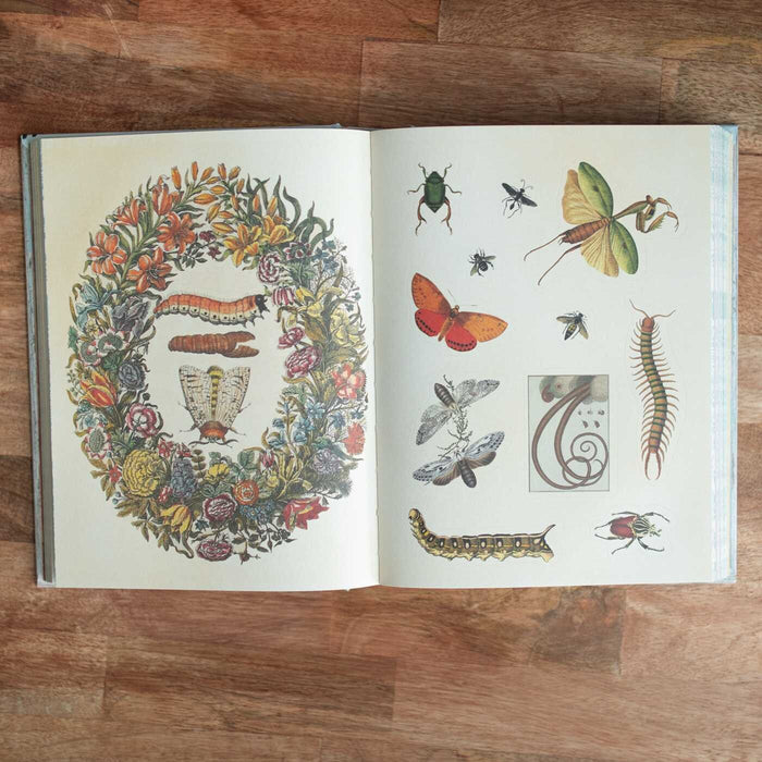 Open book on a wooden surface with illustrations of flowers, insects, and a wreath.
