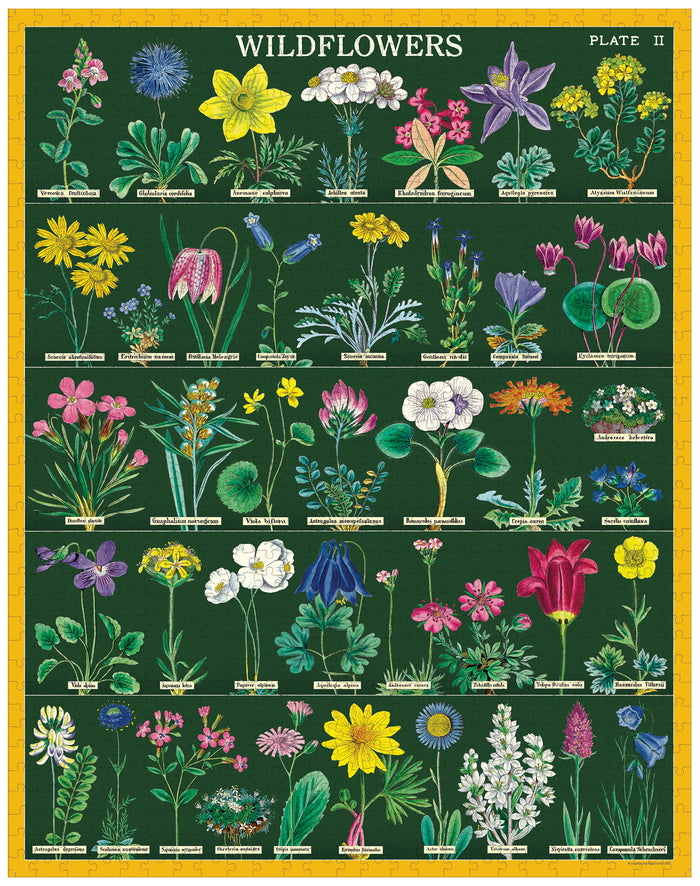 Cavallini & Co. Alpine Wildflowers 1000 Piece Puzzle finished puzzle image