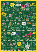 Cavallini & Co. Alpine Wildflowers Decorative Paper