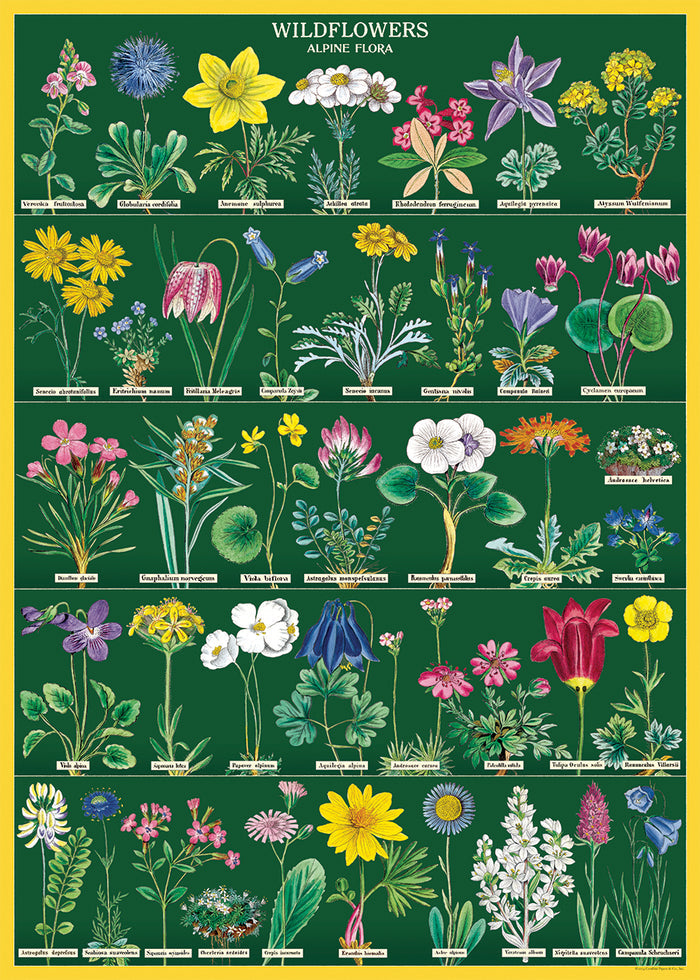 Cavallini & Co. Alpine Wildflowers Decorative Paper