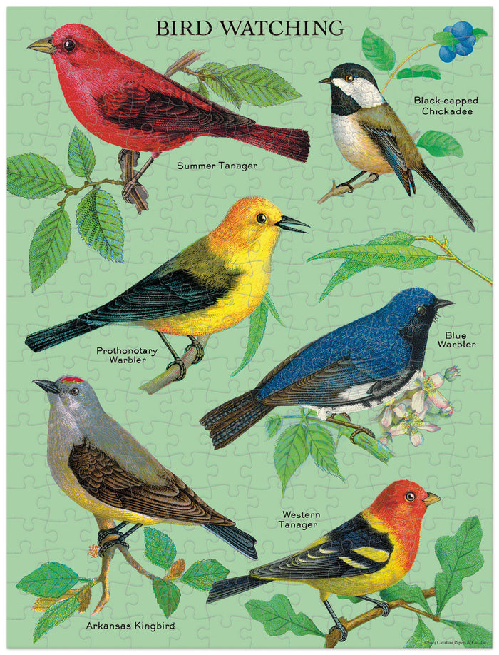 Cavallini & Co. Bird Watching 240 Piece Mini Puzzle finished puzzle- Illustration of various birds with labels on a green background