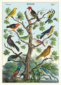 Cavallini & Co. Birds Decorative Paper