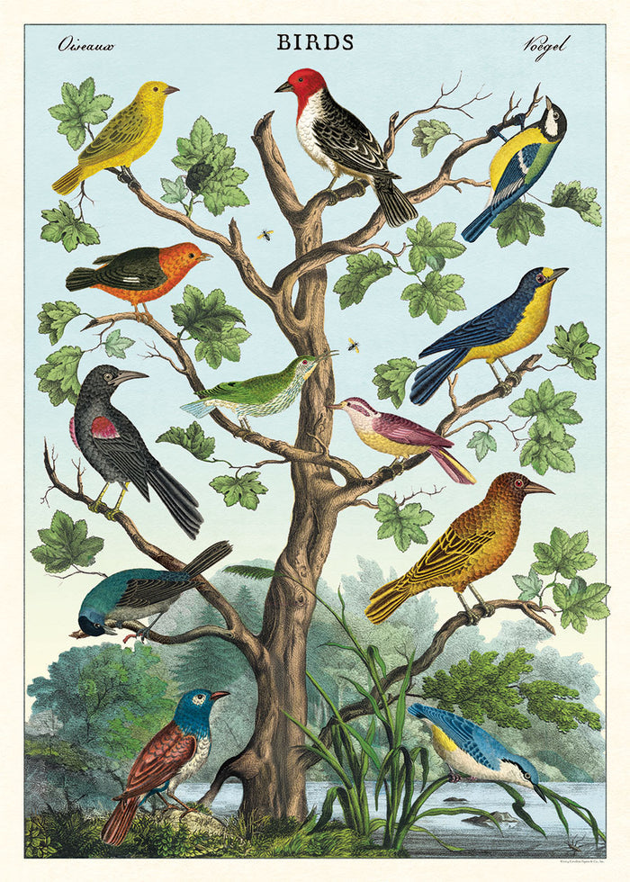 Cavallini & Co. Birds Decorative Paper