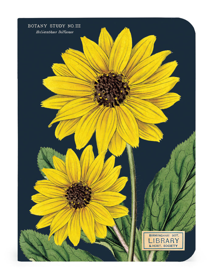 The Mini Notebooks measure 4 by 5.5 inches.