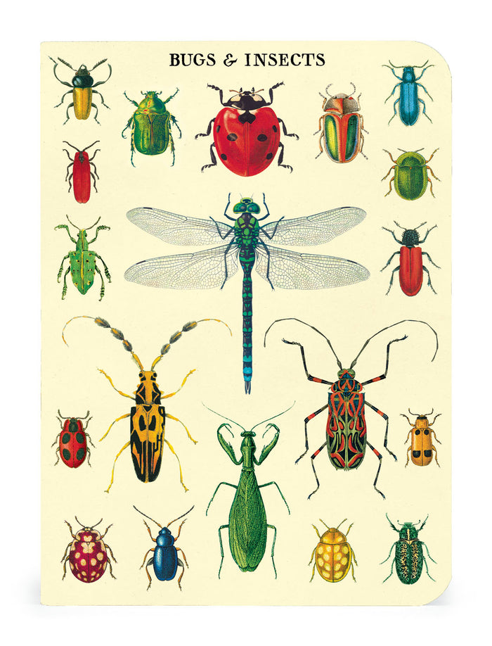Image of Cavallini & Co. Bugs & Insects Mini Notebook