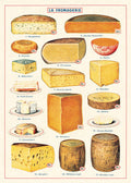 Cavallini & Co. Cheese Decorative Paper