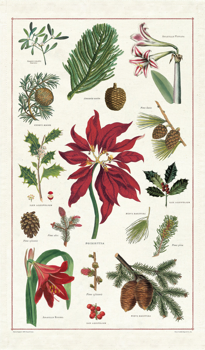Cavallini & Co. Christmas Botanica Holiday Cotton Tea Towel