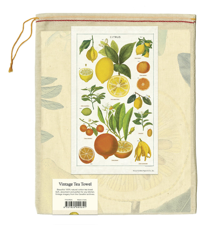 Cavallini & Co. natural cotton tea towels measure 19" x 31.75" (48cm x 80cm).