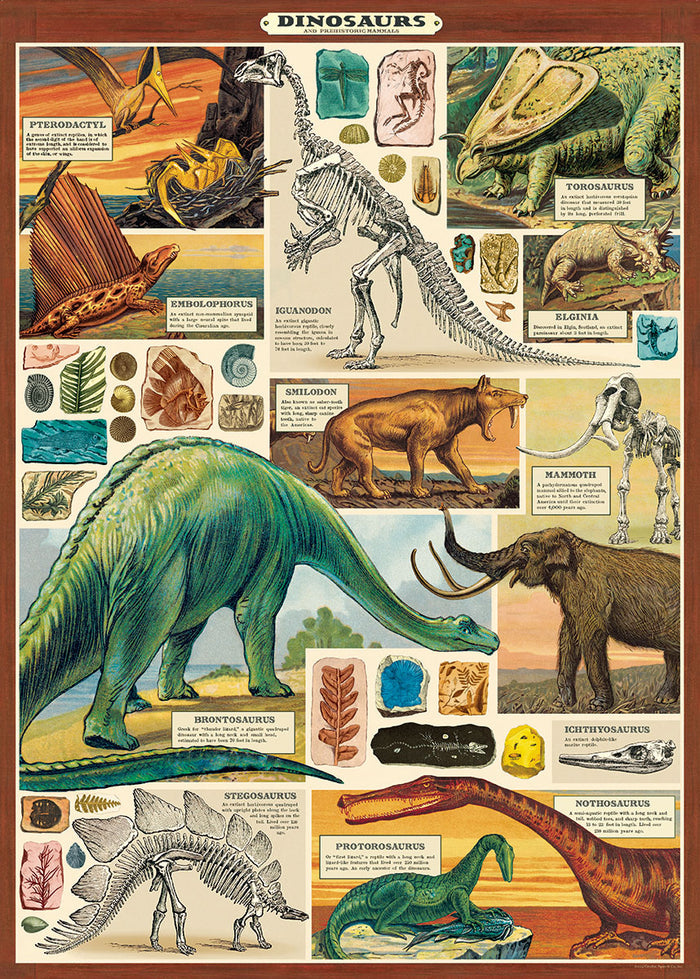 Cavallini & Co. Dinosaurs Decorative Paper