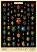 Cavallini & Co. Field Guide to Beetles Decorative Paper- illustrated chart of beetles with colorful depictions on a black background