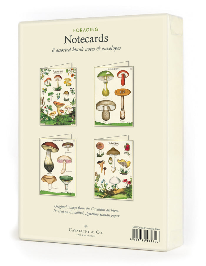 Cavallini & Co's. Foraging Notecards feature mostly mushrooms, but a few other edible plants of note, on a lush and verdant forest floor.