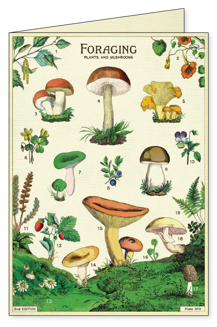 Boxed notecards by Cavallini & Co. are perfect for everyday greetings, as a thank you card, or as a gift card.