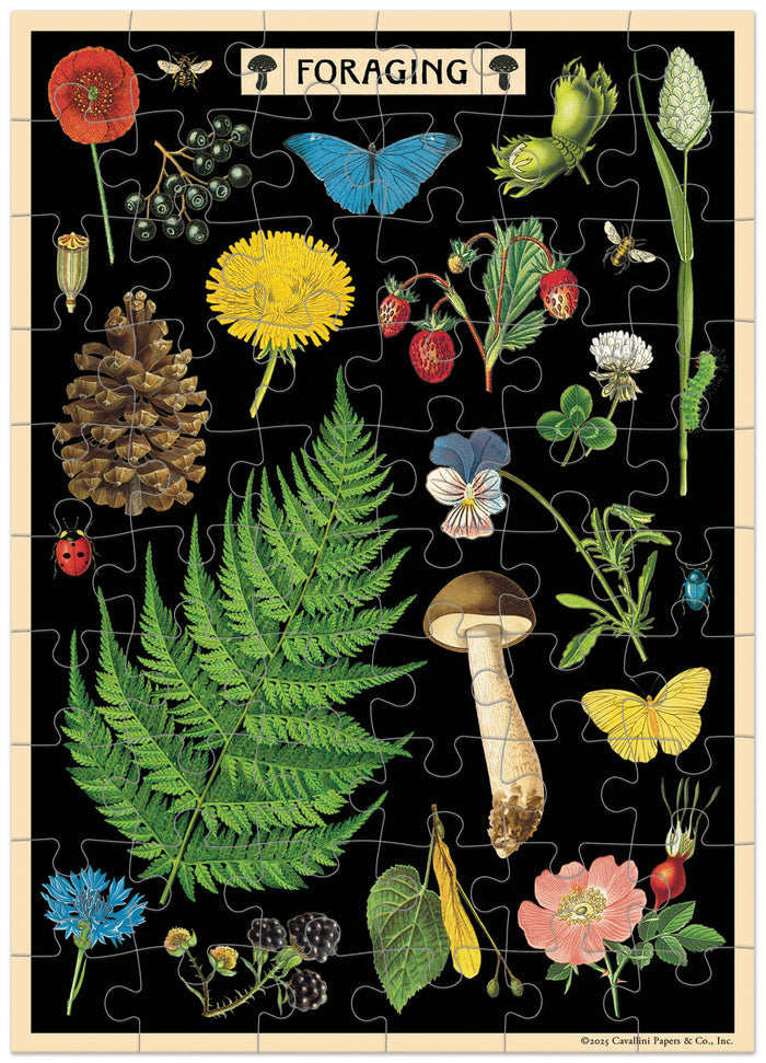 Cavallini & Co. Foraging Puzzle Greeting Card