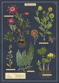 Cavallini & Co. Herbarium Decorative Paper