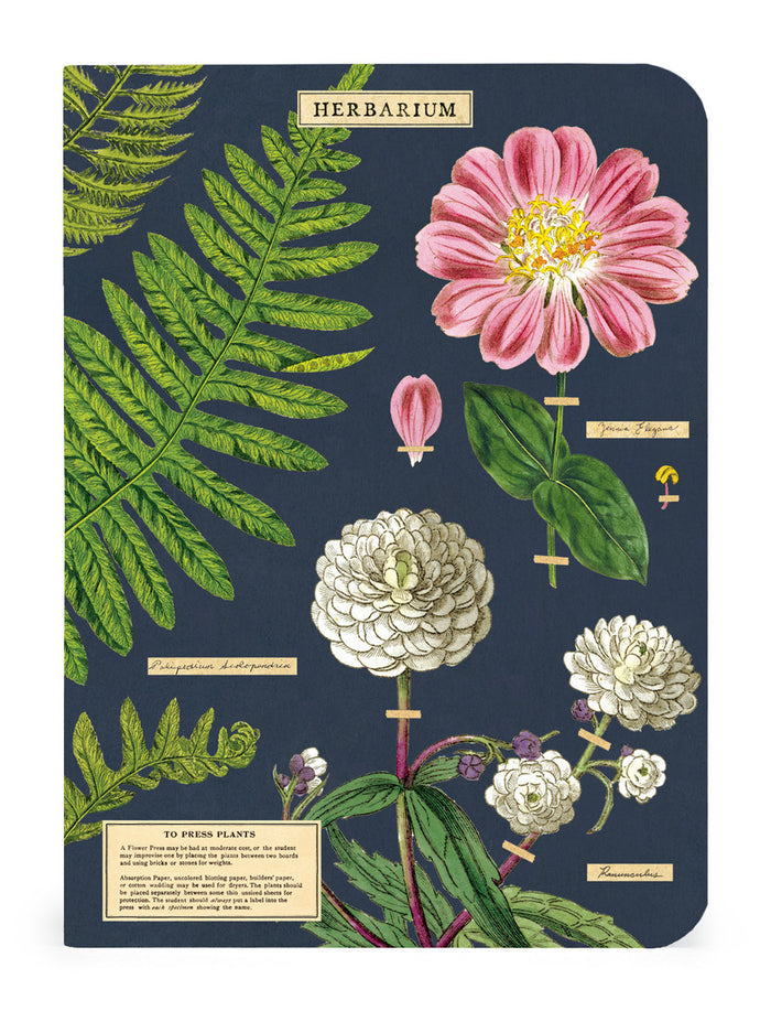 The Mini Notebooks measure 4 by 5.5 inches.