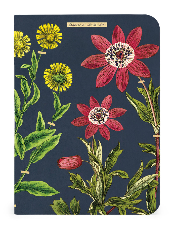 One of the three notebooks in the new Cavallini Herbarium Mini Notebook Set.