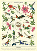 Cavallini & Co. Hummingbirds Decorative Paper
