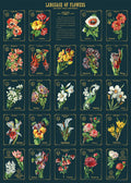 Cavallini & Co. Language of Flowers Chart Decorative Paper