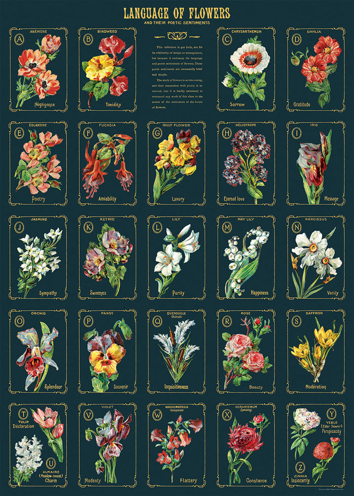 Cavallini & Co. Language of Flowers Chart Decorative Paper