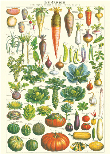 Cavallini & Co. Le Jardin Decorative Paper