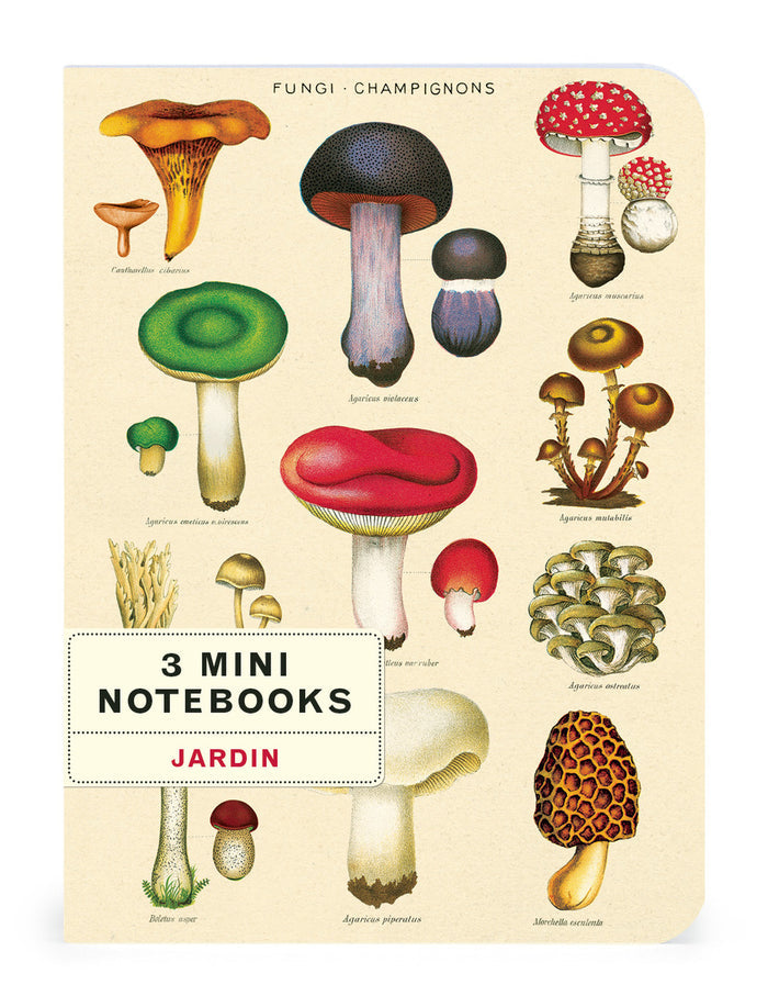 The Mini Notebooks measure 4 by 5.5 inches.