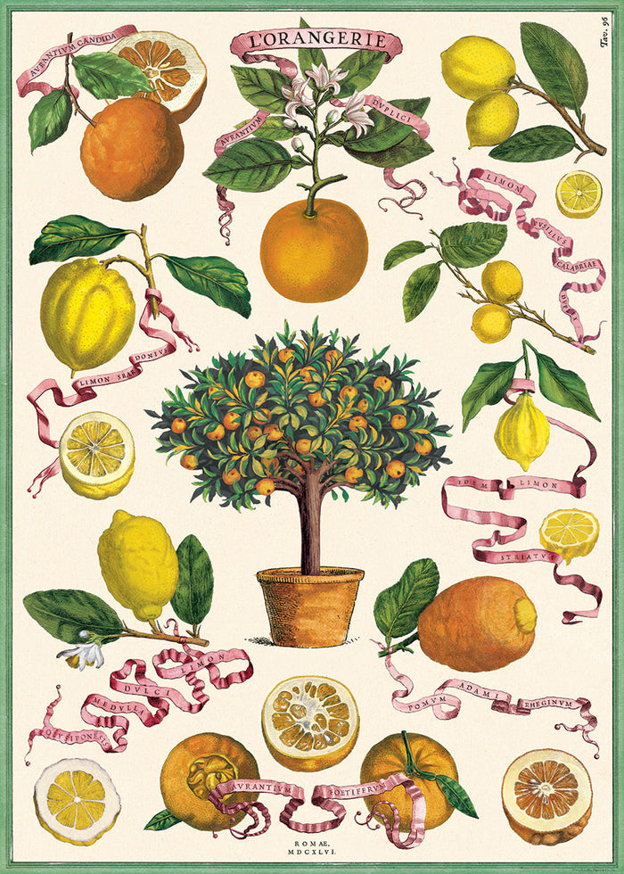 Cavallini & Co. L'Orangerie Decorative Paper